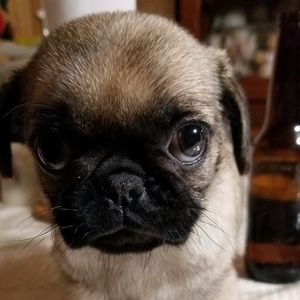 Meet your Posher, Alejandro